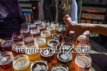 hennessy是什么意思