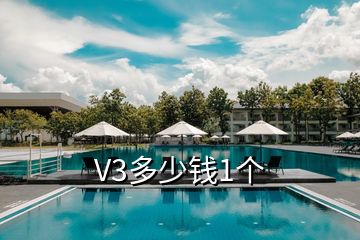 V3多少錢1個(gè)