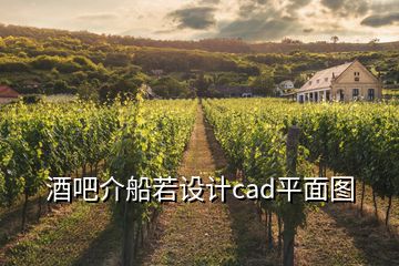 酒吧介船若設計cad平面圖