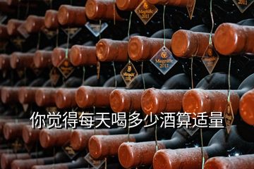 你覺得每天喝多少酒算適量