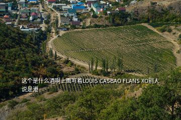 這個(gè)是什么酒啊上面寫著LOUIS CASBAO FLANS XO別人說是港