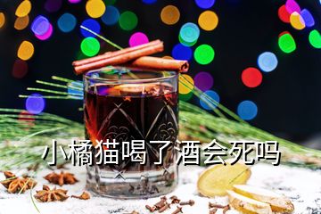 小橘貓喝了酒會死嗎