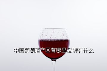 中國(guó)葡萄酒產(chǎn)區(qū)有哪里品牌有什么