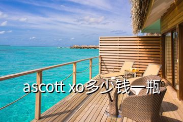 ascott xo多少錢一瓶