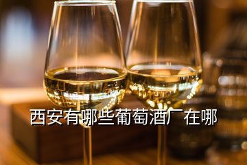 西安有哪些葡萄酒廠(chǎng)在哪