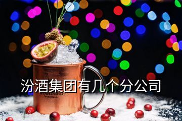 汾酒集團(tuán)有幾個(gè)分公司