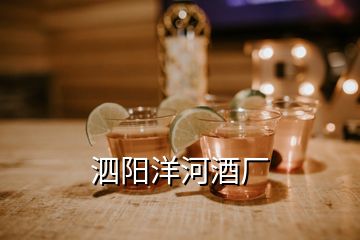 泗陽洋河酒廠