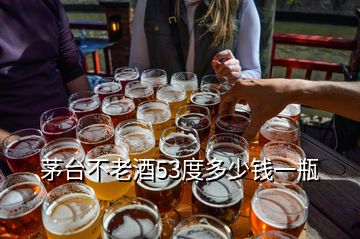 茅臺(tái)不老酒53度多少錢一瓶