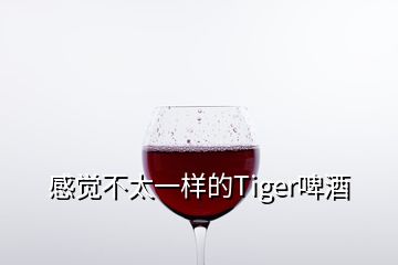 感覺(jué)不太一樣的Tiger啤酒