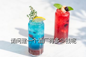 請問建一個酒廠得多少錢呢