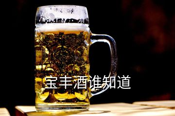 寶豐酒誰(shuí)知道