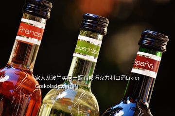 家人從波蘭買回一瓶肖邦巧克力利口酒Likier Czekoladowy國內(nèi)