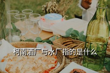 柯南酒廠與水廠指的是什么