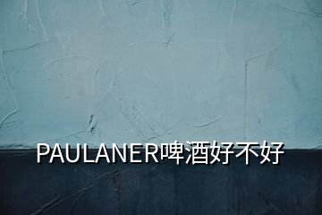 PAULANER啤酒好不好