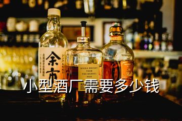 小型酒廠需要多少錢