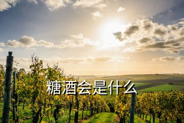 糖酒會(huì)是什么