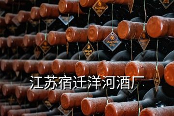 江蘇宿遷洋河酒廠