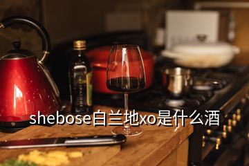 shebose白蘭地xo是什么酒