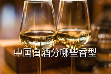 中國白酒分哪些香型