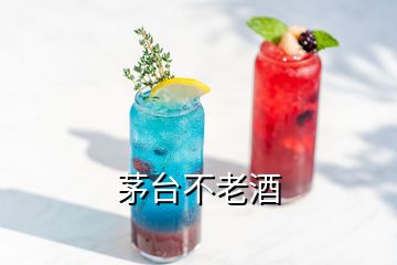 茅臺(tái)不老酒