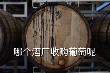 哪個(gè)酒廠收購(gòu)葡萄呢