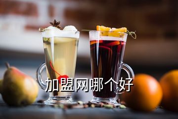 加盟網(wǎng)哪個(gè)好