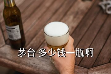 茅臺 多少錢一瓶啊