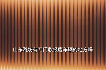 山東濰坊有專門收報(bào)廢車輛的地方嗎