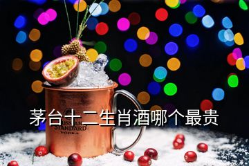 茅臺(tái)十二生肖酒哪個(gè)最貴