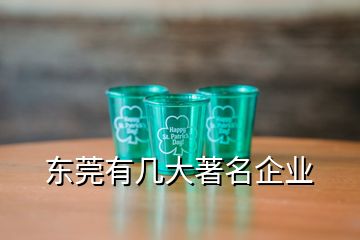 東莞有幾大著名企業(yè)