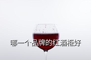 哪一個品牌的紅酒柜好