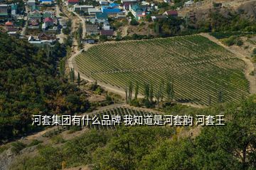 河套集團(tuán)有什么品牌 我知道是河套韻 河套王