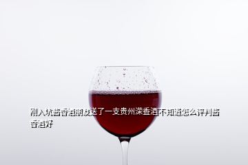 剛?cè)肟俞u香酒朋友送了一支貴州溁盉酒不知道怎么評(píng)判醬香酒好