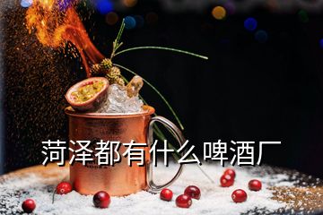 菏澤都有什么啤酒廠(chǎng)