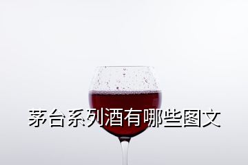 茅臺(tái)系列酒有哪些圖文