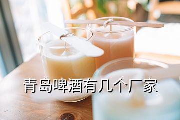 青島啤酒有幾個廠家