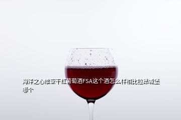 海洋之心維亞干紅葡萄酒FSA這個酒怎么樣相比拉昂城堡哪個