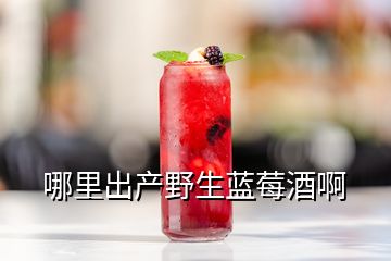 哪里出產(chǎn)野生藍莓酒啊