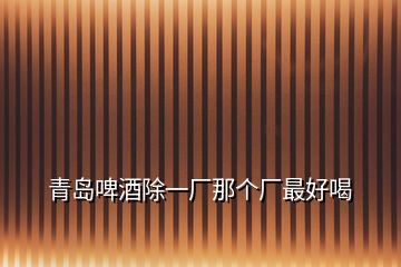 青島啤酒除一廠那個廠最好喝