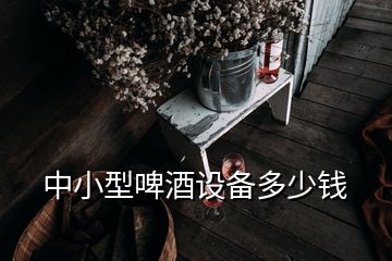 中小型啤酒設(shè)備多少錢