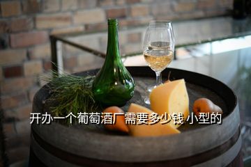 開辦一個葡萄酒廠需要多少錢 小型的