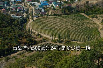 青島啤酒500毫升24瓶是多少錢一箱