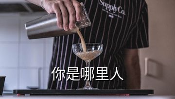 你是哪里人