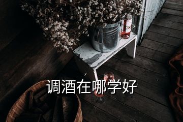 調(diào)酒在哪學(xué)好