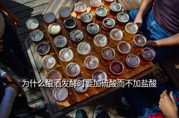 為什么釀酒發(fā)酵時(shí)要加硫酸而不加鹽酸