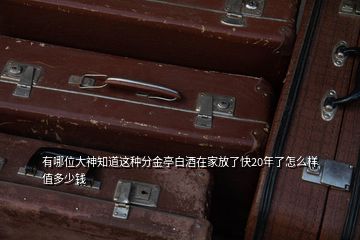 有哪位大神知道這種分金亭白酒在家放了快20年了怎么樣值多少錢