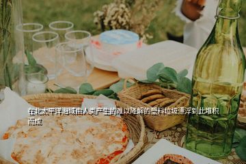 在北太平洋海域由人類產(chǎn)生的難以降解的塑料垃圾漂浮到此堆積而成