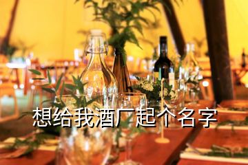 想給我酒廠起個(gè)名字