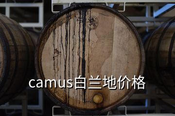 camus白蘭地價格