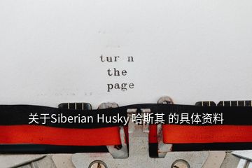 關于Siberian Husky 哈斯其 的具體資料